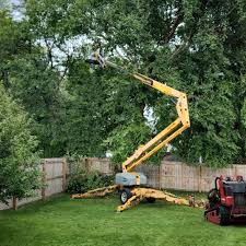 Best Seasonal Cleanup (Spring/Fall)  in Brush Prairie, WA