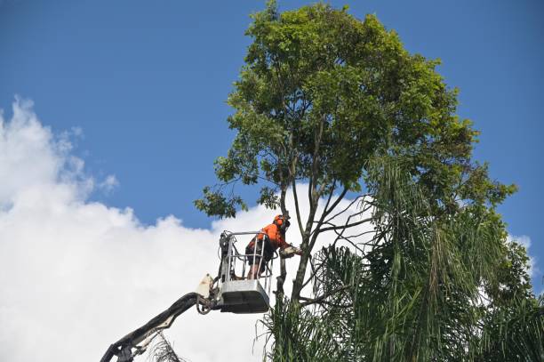 Landscape Design and Installation in Brush Prairie, WA